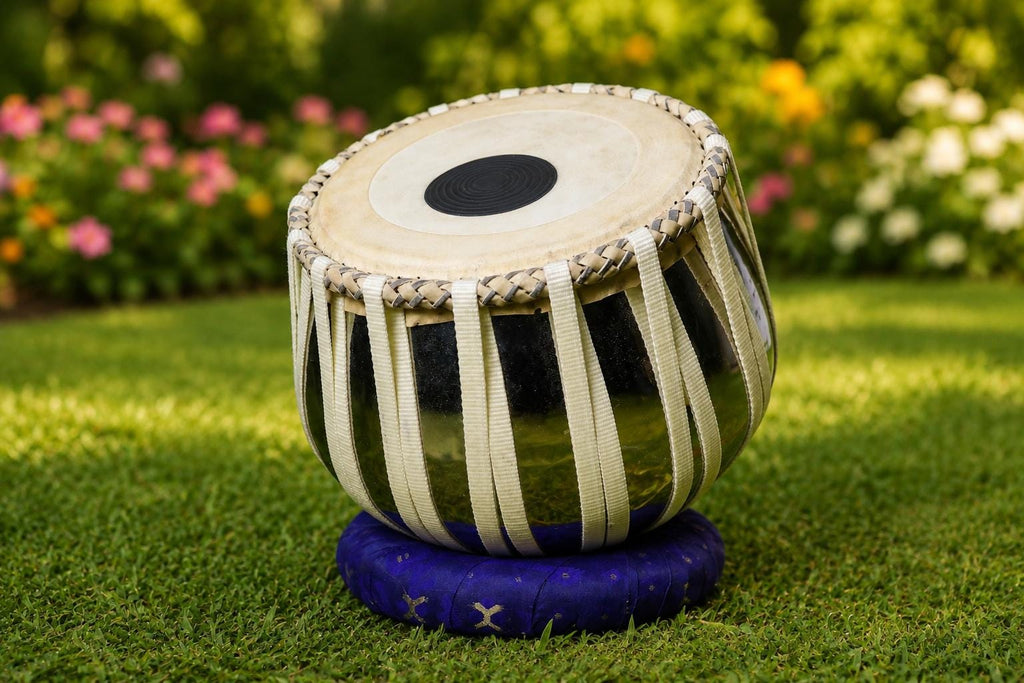 Professional Tabla Set | Sheesham Wood Dayan, Steel Bayan, Indian Drums - gift for musician