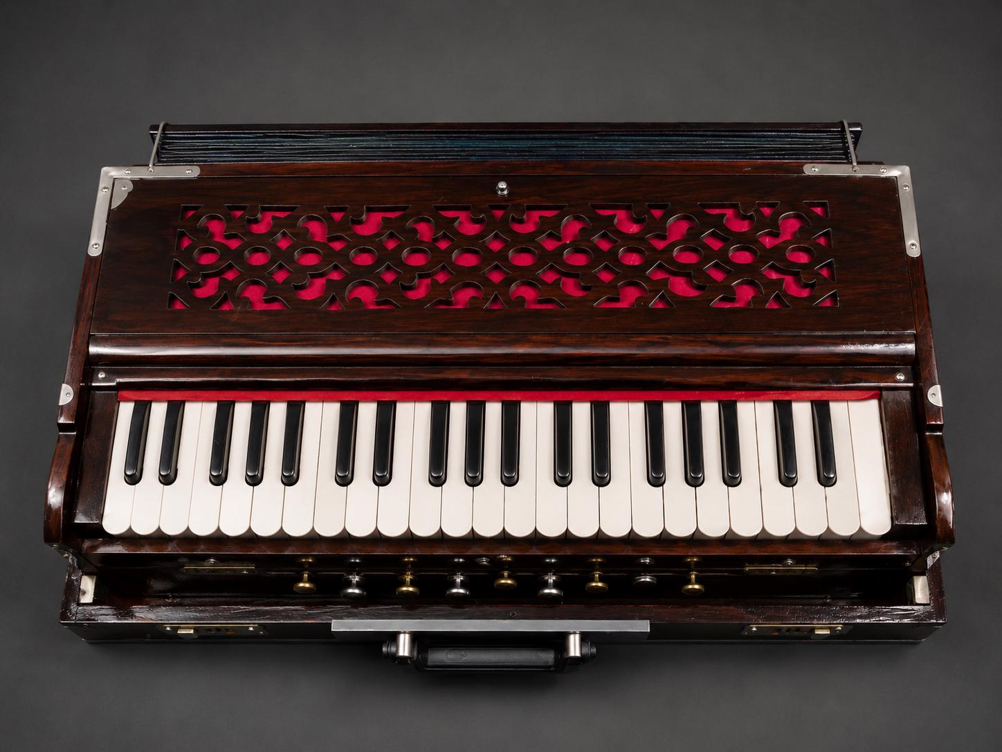 Professional Double Reed Harmonium – 3.5 Octave Bhajan Kirtan Instrument